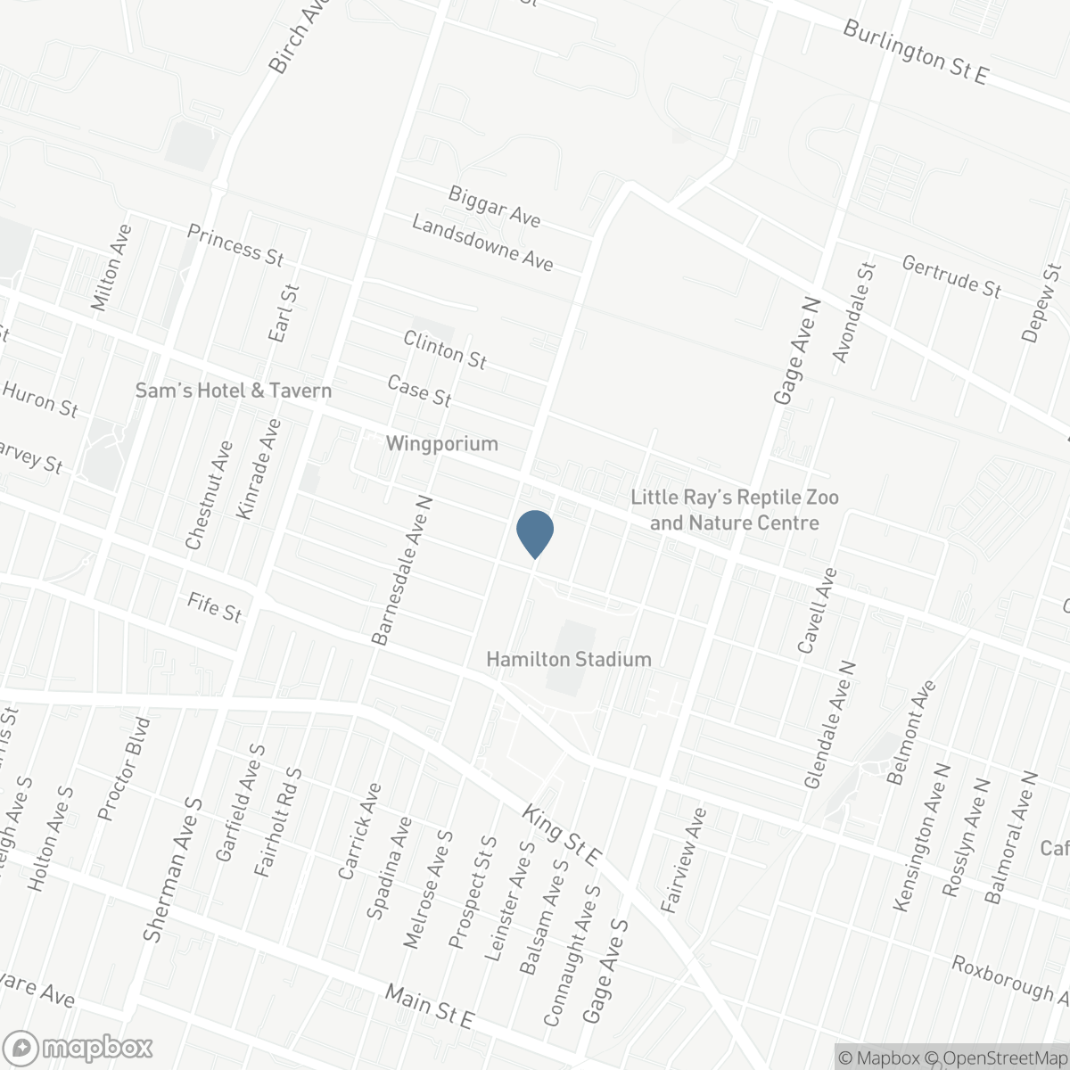 147 MELROSE Avenue N, Hamilton, Ontario L8L 6X5
